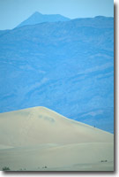 Lone Man on Sand Dune (#200104030114)