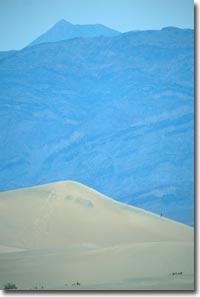 Lone Man on Sand Dune