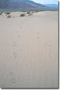 Footprints on Sand Dune