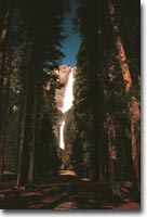 Yosemite Falls (#200105050410)