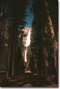 Yosemite Falls at Midnight